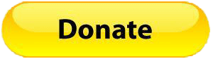 Donate Now Button